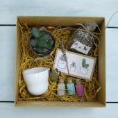 Подарочный набор Посади свой суккулент