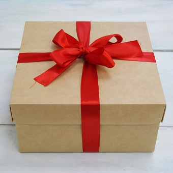 Подарочный набор Посади свой суккулент