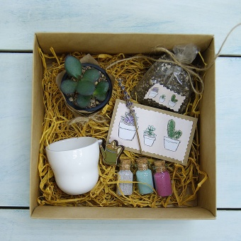 Подарочный набор Посади свой суккулент