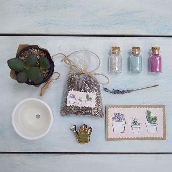 Подарочный набор Посади свой суккулент
