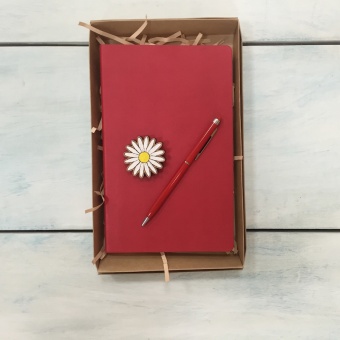 Подарочный набор: блокнот thinkme красный, ручка, значок