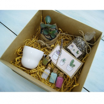 Подарочный набор Посади свой суккулент